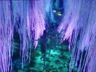 III - DVD TV Spot III (English)