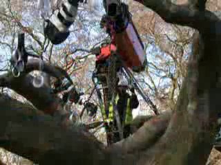 Tree of souls - Featurette Tree of souls (Anglais)