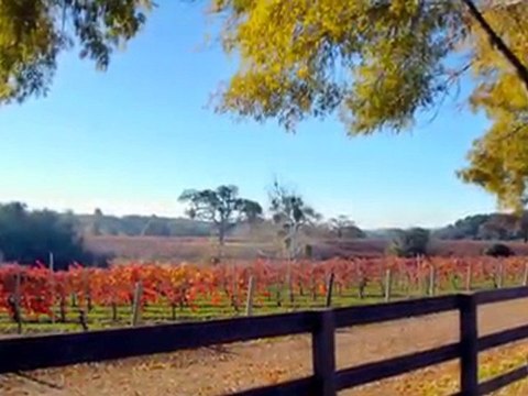 MOTEL 6 SANTA BARBARA BEACH Video Tour