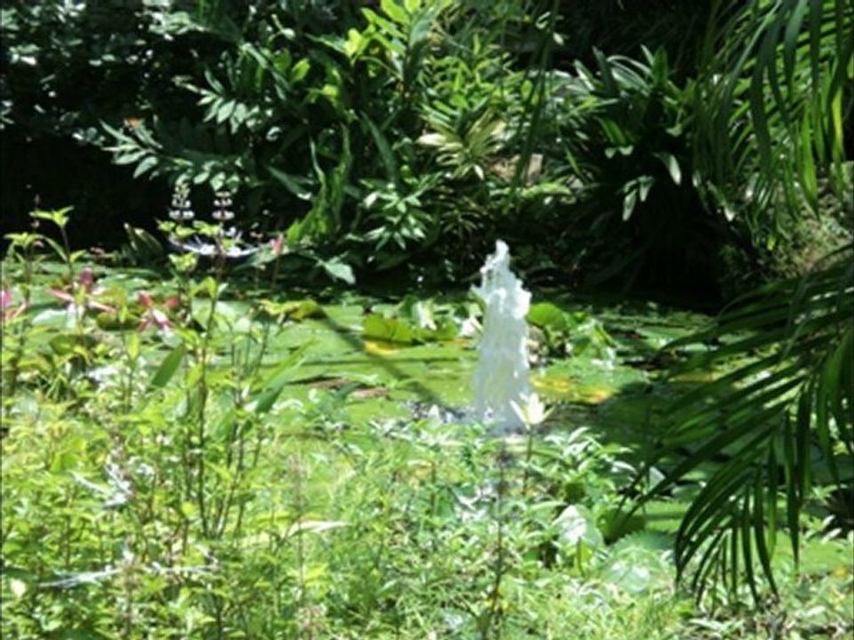 MERVEILLES DE MALAISIE