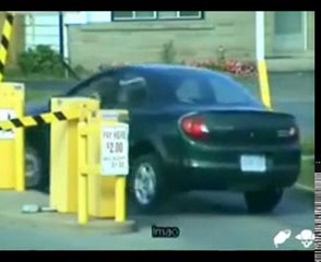 ..:: Tipik Bir Bayan Sürücü Modeli ::..