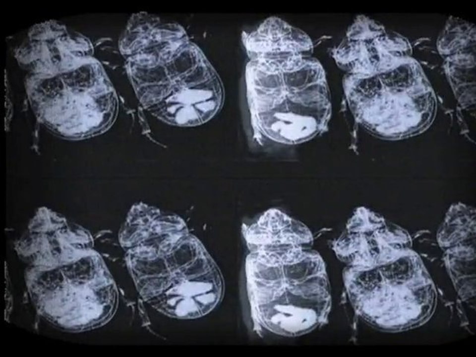 LABYRINTHE 1 PAR CLEMENT SELLIN