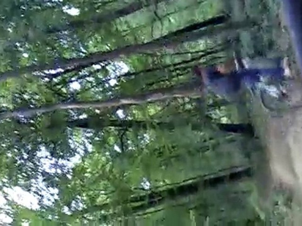 Videos montage bois de la gare