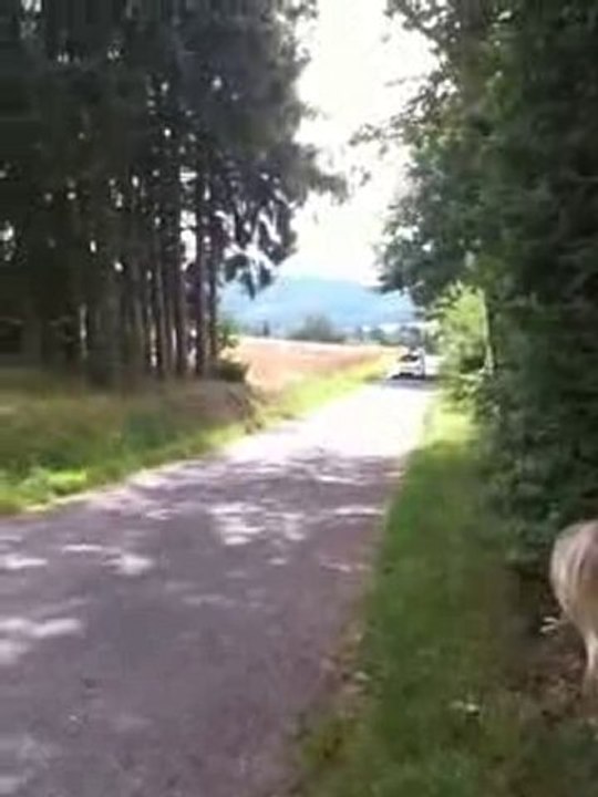 Test François Duval