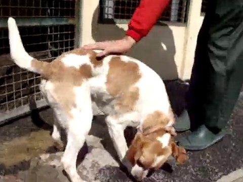 PETIT DEJEUNER AU REFUGE DES AMIS DE LUNA LE 14 AOUT 2010