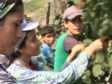 Kurds face long trek for Turkish harvests