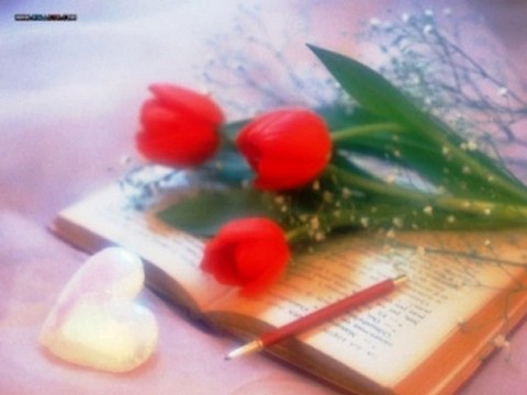 Özdal Orhon Şebabım Durmadan Geçti Bütün Ömrüm Sarardı