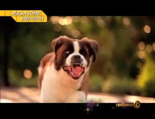 Nickelodeon Tanıtım - Agustos - Sinema TV