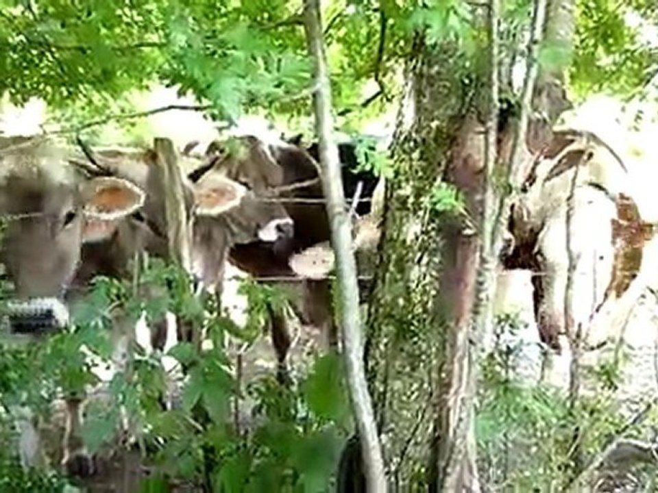 En mode "désensibilisation"