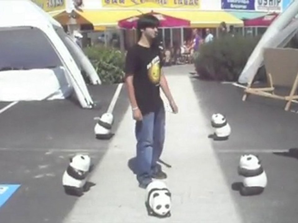 jdp 2010