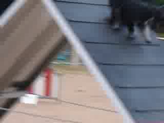 EKO ZONE DE A 12 MOIS