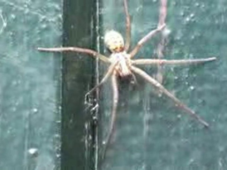 J'aime la nature ... ou pas