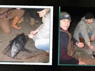 Gece Balıkçıları