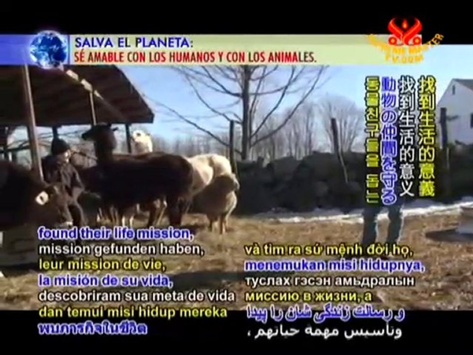 Cheri Vandersluis of Maple Farm Sanctuary - P2/2