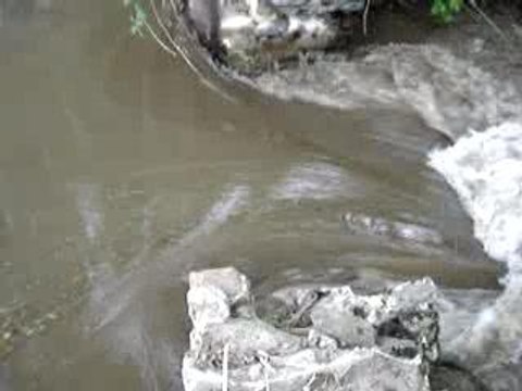 l'Echez vu des anciennes vannes