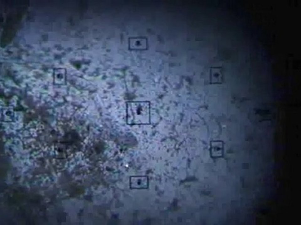 Chemtrail fallout-analyse