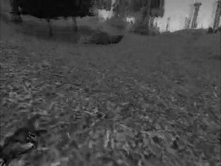 ARENA NETWORK TANITIM