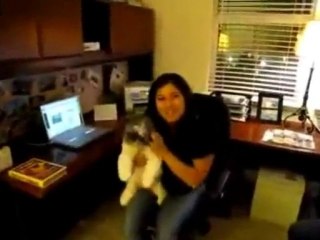 How to Make Money At Home On Your Computer