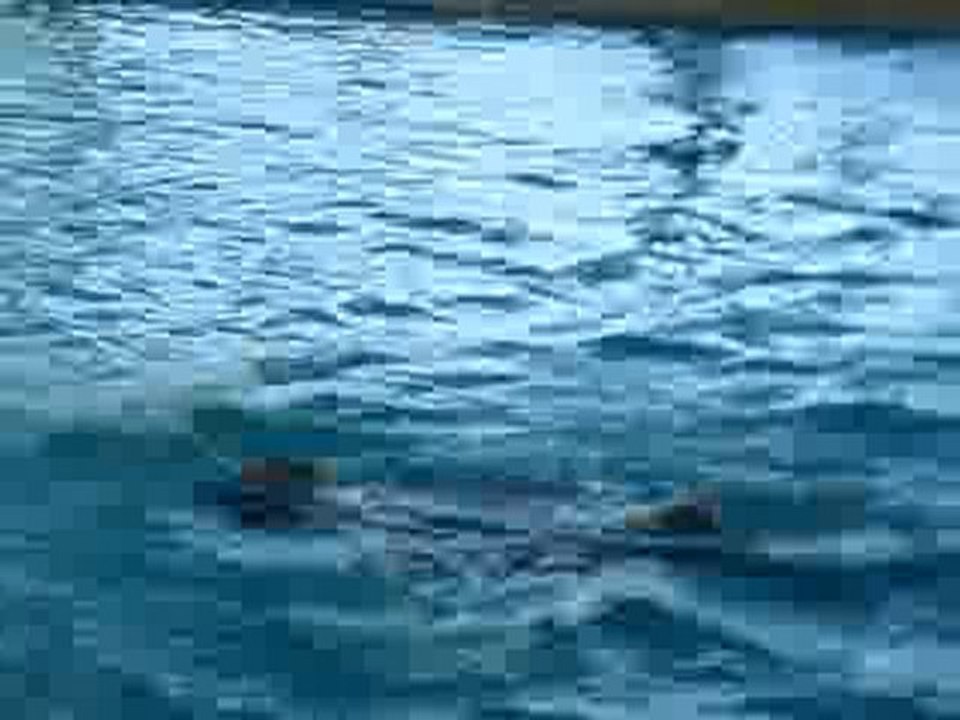 piscine 024