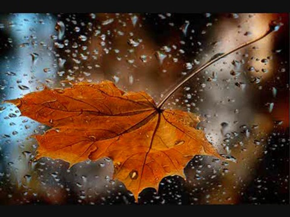 Taner Yüncüoğlu – Yağmur