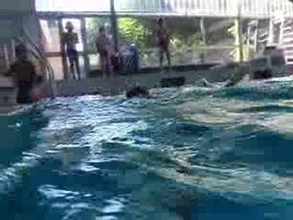 piscine 036