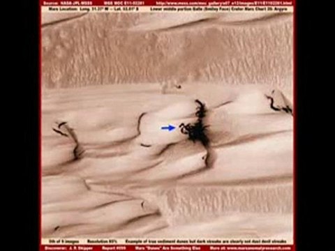 Mars Anomalies, Water, Plants, Life! ( )