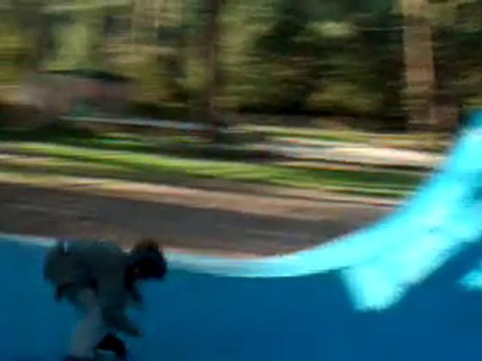 roller