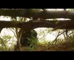 4.Bölüm...Ehlibeyt Kervanı...Onurlu kervan