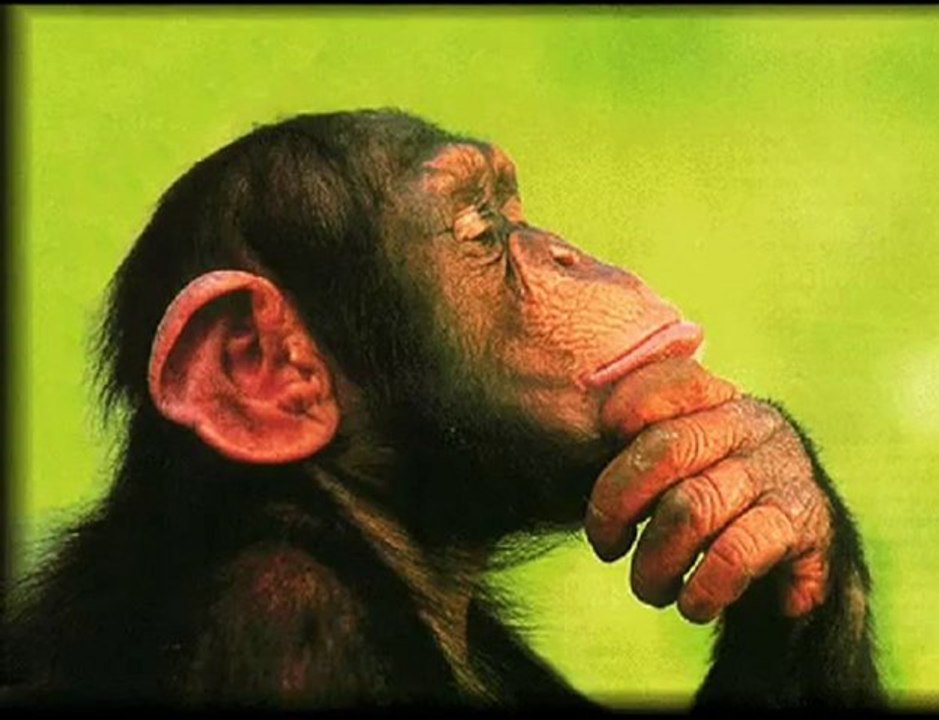 How To: Stupify Society p44 -The Dumbest Generation p3 of 12