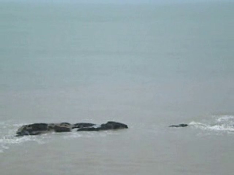 DSCN3904