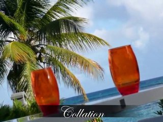 Villa luxe Guadeloupe " Villa Boubou"