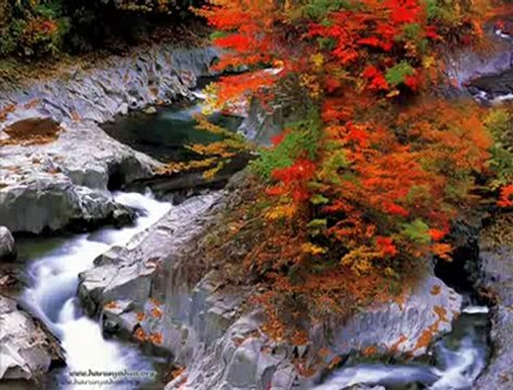 [ Duygusal Kalpler Durağı ] Y. Gürses / sonbahar rüzgarı