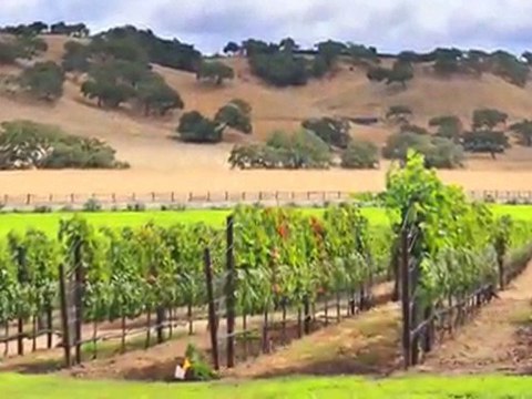 MOTEL 6 SANTA BARBARA CARPINTERIA NORTH Video Tour