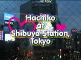 Statue d'Hachiko, chien fidèle, Gare de Shibuya, Tokyo