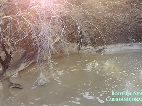 Coffee Pot Thermal Pool: Rotorua, New Zealand