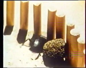 Les inventions de la vie 3 : L'école du cirque 1