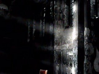 sadık toraman şiirleri"ayışığı duvarımda"