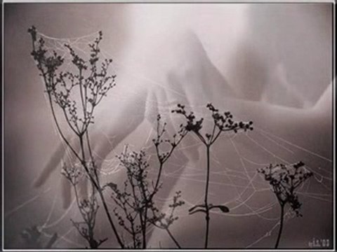 [ Duygusal Kalpler Durağı ] Sevemez Kimse Seni Benim Sevdi