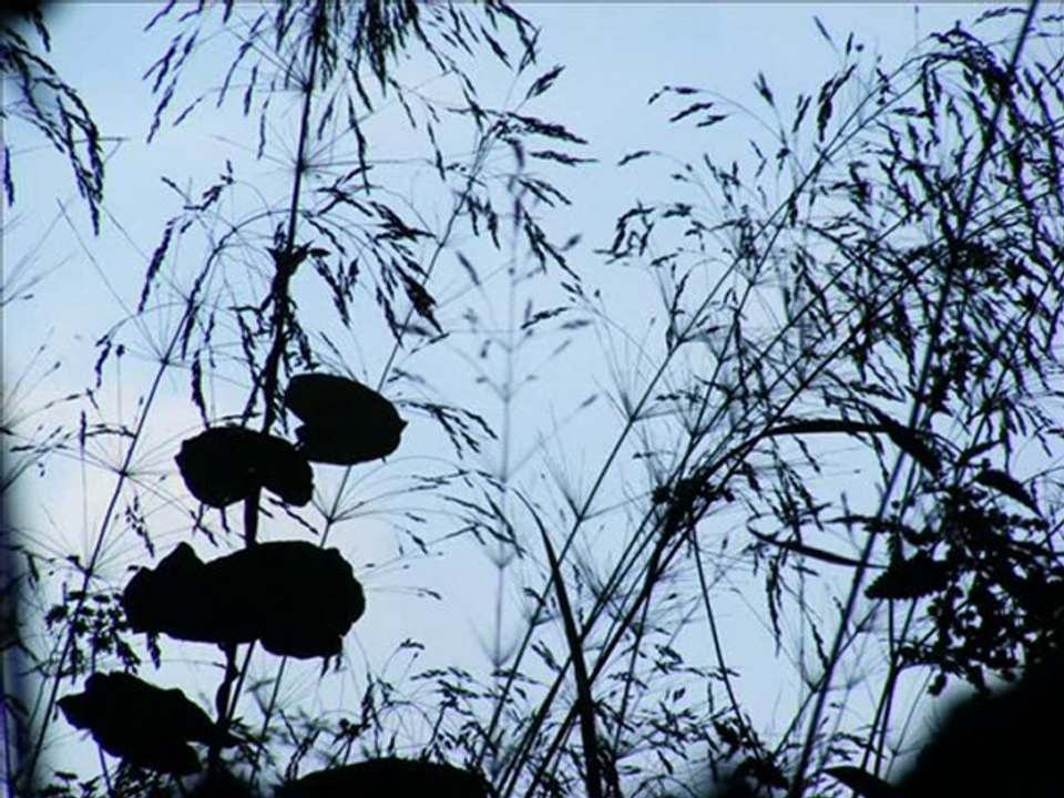 Ezginin Günlüğü / Bahçedeki Sandal