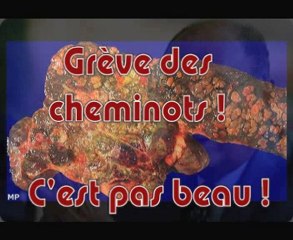 Le Libre Penseur - DANGER IMMINENT - Dassault en Vrai