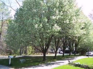 Homes for Sale - 90 Laurel Dr - Dover, DE 19901 - Coldwell B