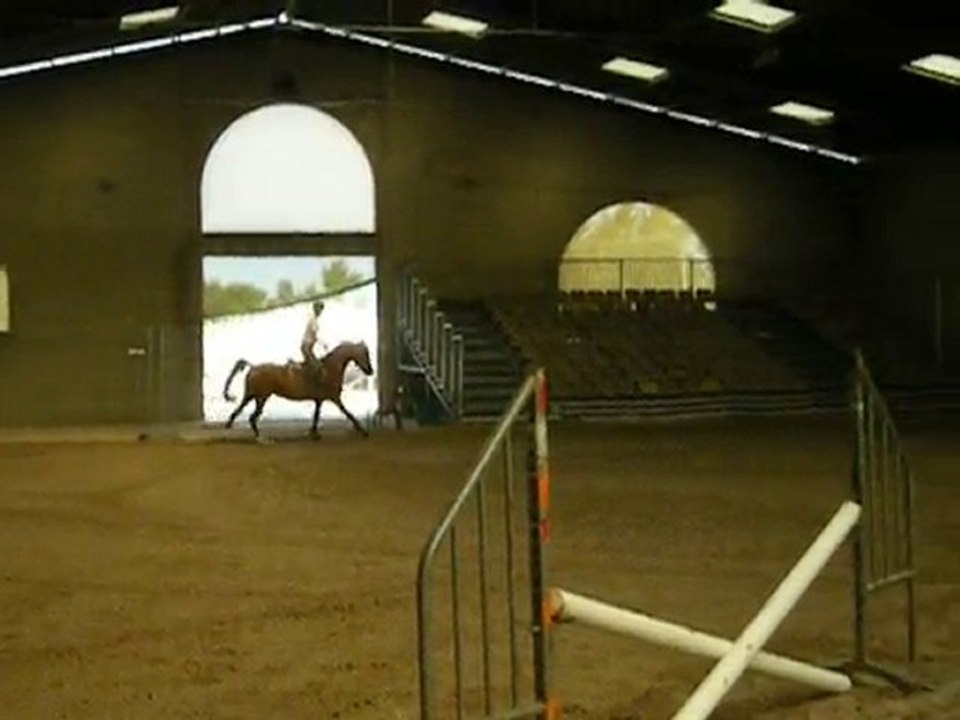queops galop manege