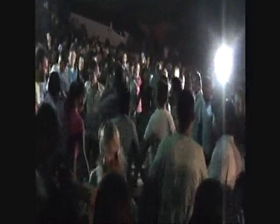 arılı festivali