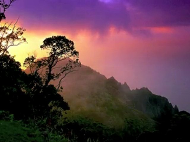 Sourate 4 - An-Nisa'