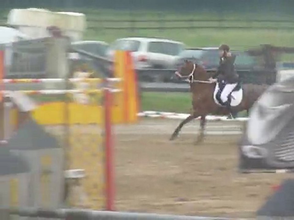 CSO Philippeville - 80 cm.