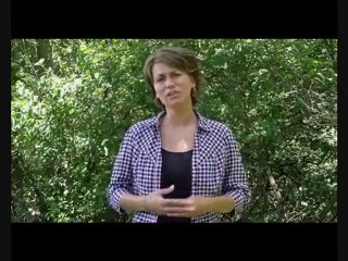 Keep Your Home or Small Business Prospering With Content!