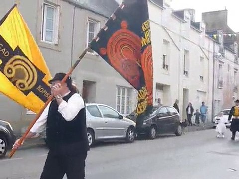 défilé fête des mouettes 2010 à Douarnenez
