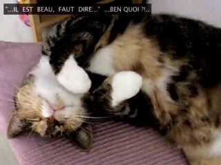 FURETTE & SARAI, amoureux transis...