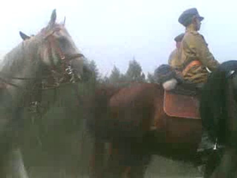 ulani