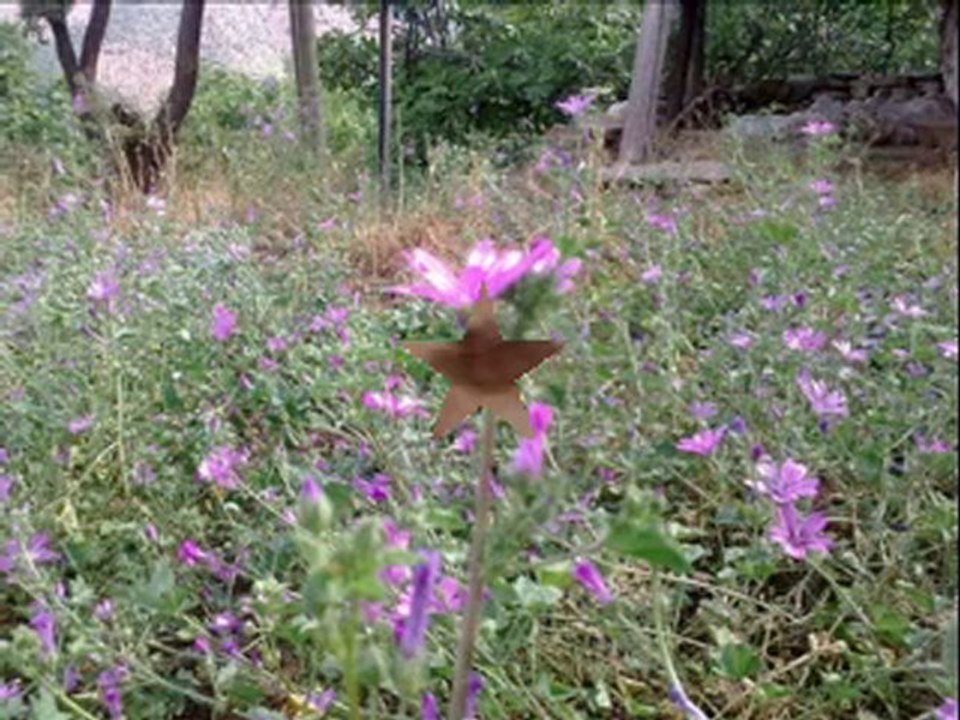 seher vakti  çaldım yarin kapısını